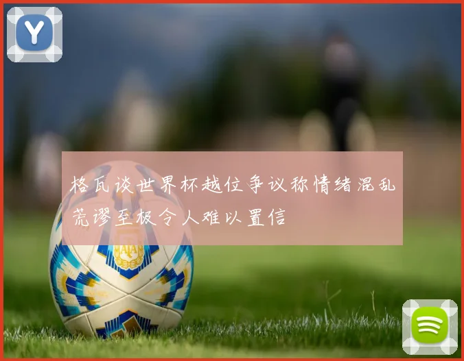 格瓦谈世界杯越位争议称情绪混乱荒谬至极令人难以置信