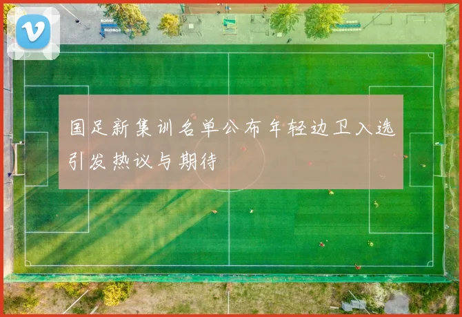 国足新集训名单公布年轻边卫入选引发热议与期待